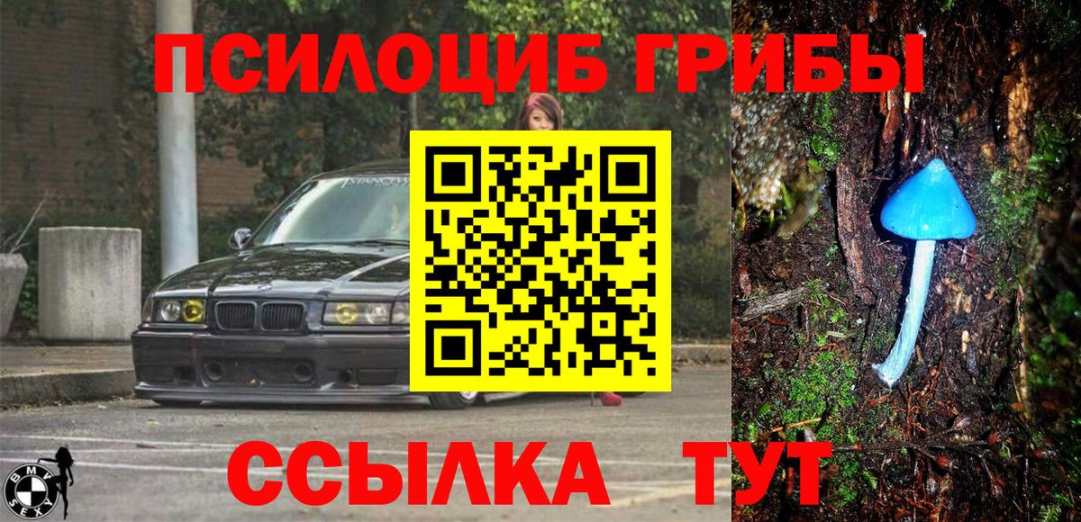 Кемерово  Галлюциногенные грибы Psilocybine cubensis  Вход с VPN 